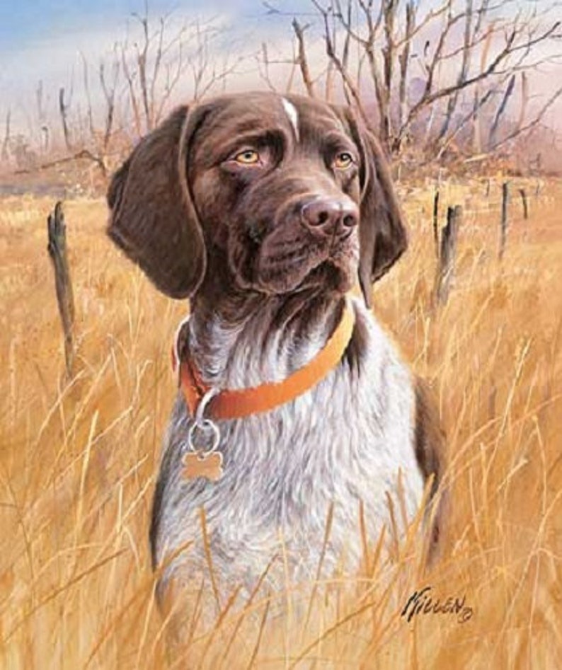 German Shorthair Pointer Cane Da Caccia Su Un 16 Pollici Etsy