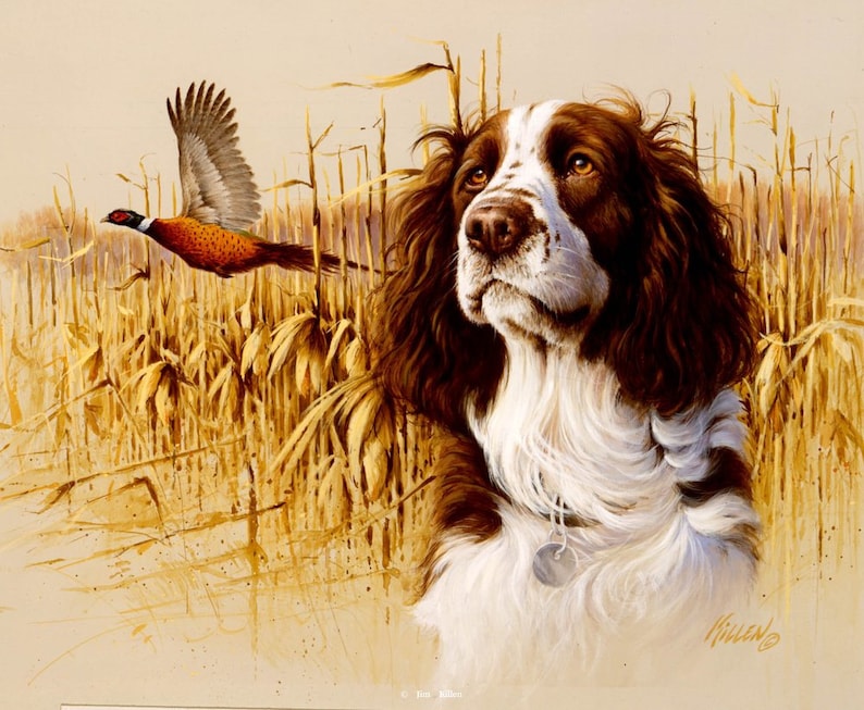 Actual picture is 8 x 11on white background. with Pheasant on One 16 inch Fabric Panel to Sew ENGLISH SPRINGER SPANIEL Liver /& White
