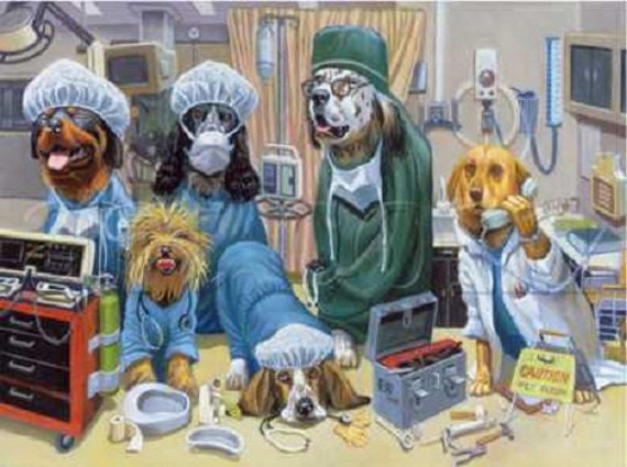Emergency Room In Dog Doctors Nurses Actual Picture Is 8 X 10 On One White 16 Inch Square Fabric Panel To Sew