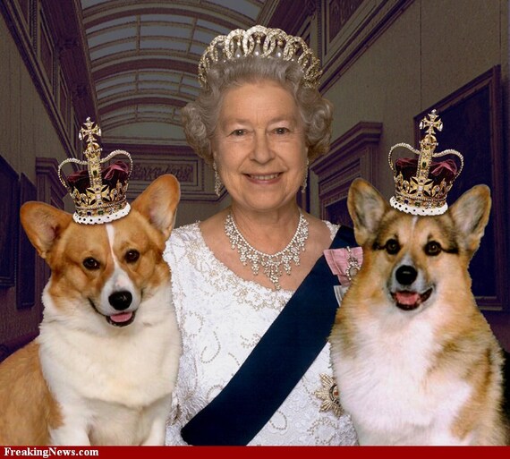 Corgis With Queen Elizabeth One 16 Inch Fabric Panel Actual Etsy