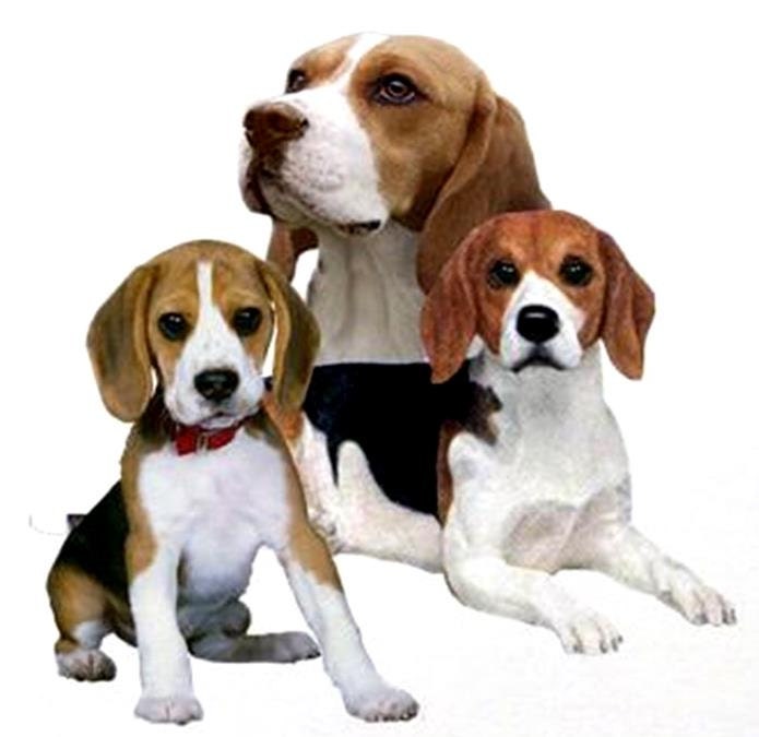 Beagle Dog Mom & Pups on One 16 inch square Fabric Panel to Etsy