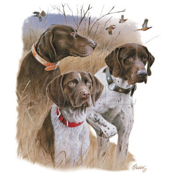 German Shorthair Dogs Hunting Three Colors One 16 Inch Etsy