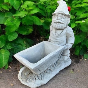 May include: A gray concrete garden gnome statue holding a wheelbarrow planter. The gnome is wearing a pointed hat and has a long white beard. The wheelbarrow is empty and ready to be filled with plants.