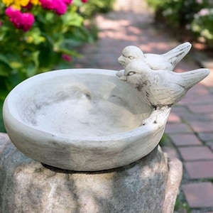 May include: A white ceramic bird bath with two birds perched on the rim. The bath is round and has a smooth, slightly textured surface. The birds are detailed and have a realistic appearance.