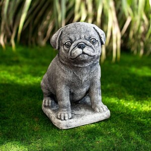 May include: A gray pug dog statue sitting on a square base. The pug has a wrinkled face, large eyes, and floppy ears. The statue is made of a stone-like material and is placed on green grass.