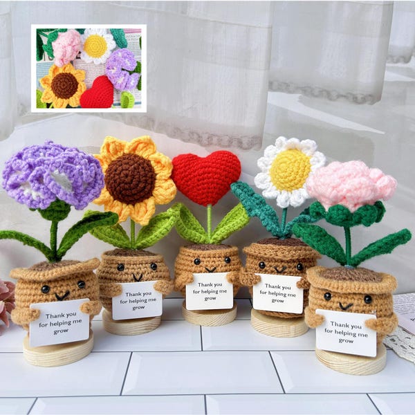 Thank you Gifts Set-Handmade Crochet Sunflower/Rose/Daisy/Carnation/Red Heart-Helping me grow Pot-Mother's Day Gift-Gratitude gift