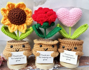 Adorable Thank You Gift Set-Handmade Crochet Potted Flowers-Crochet Sunflower/Rose/Heart-Emotional Support Plant-Christmas Gift for her