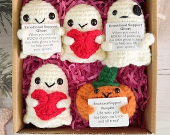 Halloween Crochet Ghost with Pumpkin,Halloween Pumpkin,Emotional Support,Halloween Decor,Halloween Gift,Trick or treat Gift,Happy Halloween