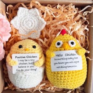 Handmade Crochet Chicken - Positive Emotional Support Gift With Inspirational Card