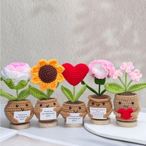 Custom Handmade Emotional Support Plant,Thank you Gift-Crochet Sunflower/Rose/Forget me not/Carnation/Red Heart,Gift For Mom/Teacher/Friends