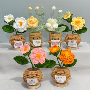 Può includere: Una collezione di composizioni floreali all'uncinetto fatte a mano in piccoli vasi marroni. I fiori sono bianchi, gialli, rosa e arancioni, con foglie verdi. Ogni vaso ha una faccia sorridente e un piccolo cartello con testo. Le composizioni poggiano su basi di legno.