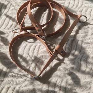 Könnte beinhalten: Ein braunes Leder-Hundehalsband und -leine-Set mit silberner Beschläge. Die Leine ist um das Halsband geschlungen.