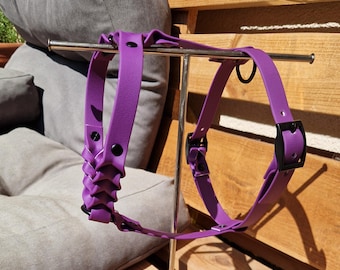 Biothane dog harness