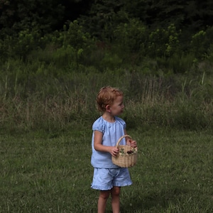 May include: A light blue and white gingham two-piece set consisting of a short-sleeved blouse with gathered shoulders and matching shorts with ruffled hems, paired with a small, round, light brown woven wicker basket with a handle.