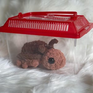 May include: A handmade crochet turtle in a clear plastic container with a red lid. The turtle is brown and tan with a large black eye. The container has a handle on top.