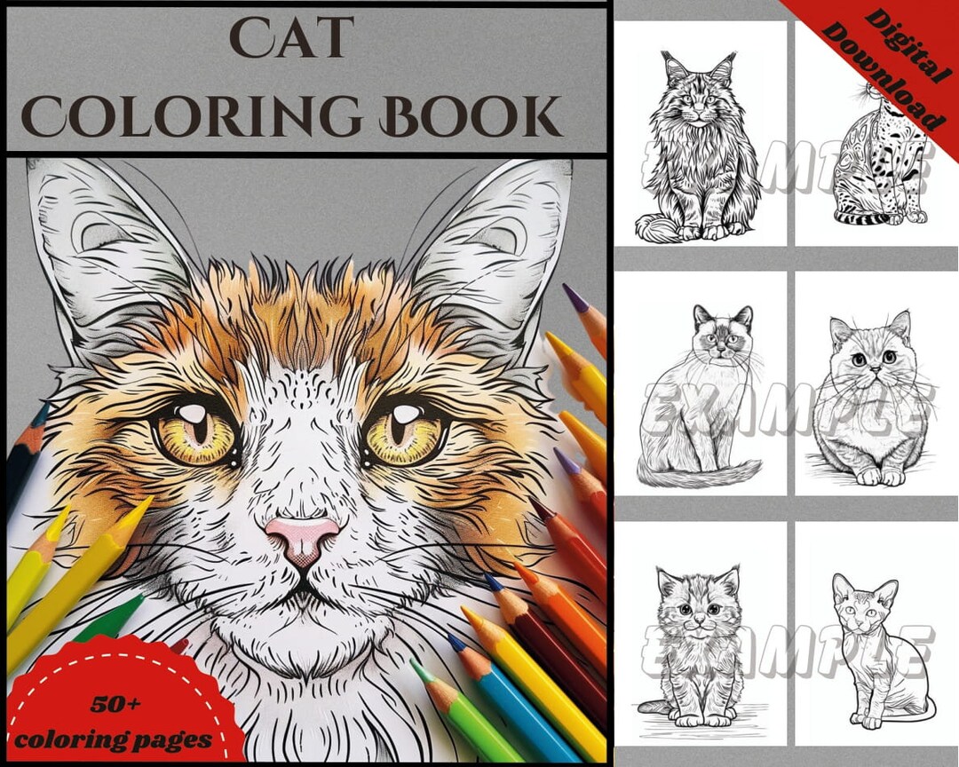 Cat Coloring Pages 50 Pages Printable Cute Kitten Coloring Pages for