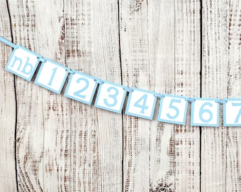 12 month photo banner - blue boy decor decorations - 1st first birthday monthly - picture newborn