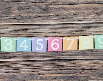 Rainbow Pastel Photo Banner – First Birthday Decorations