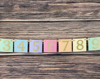 Pastel Rainbow 1st Birthday Photo Banner - Gold Glitter Numbers