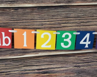 Rainbow 1st Birthday Photo Banner – 12 Month Picture Display