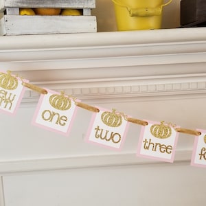 Little Pumpkin photo banner - 12 month - pink gold - 1st first birthday fall decor pictures decorations