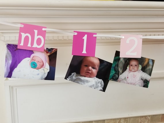 12 month photo banner - girl first 1st birthday banner - Happy Birthday - decorations decor - twelve Pink Ombre Il_570xn