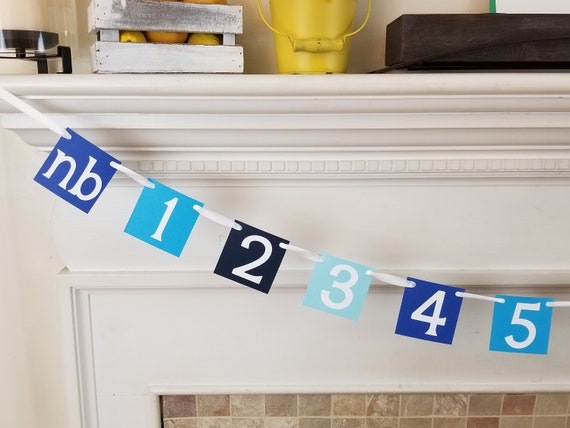 12 month photo banner - boy first 1st birthday banner - Happy Birthday - decorations decor - twelve Blue Ombre Il_570xn