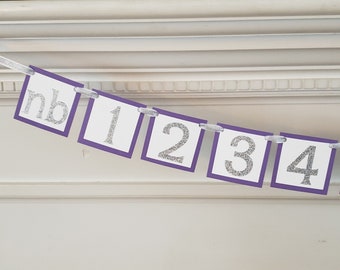 Purple 1st Birthday Photo Banner – Lilac, Lavender, and Silver