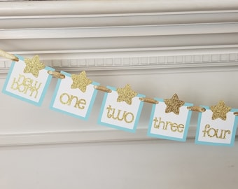 Twinkle Star 12-Month Photo Banner – Light Blue, Gold Glitter, Boy 1st Birthday
