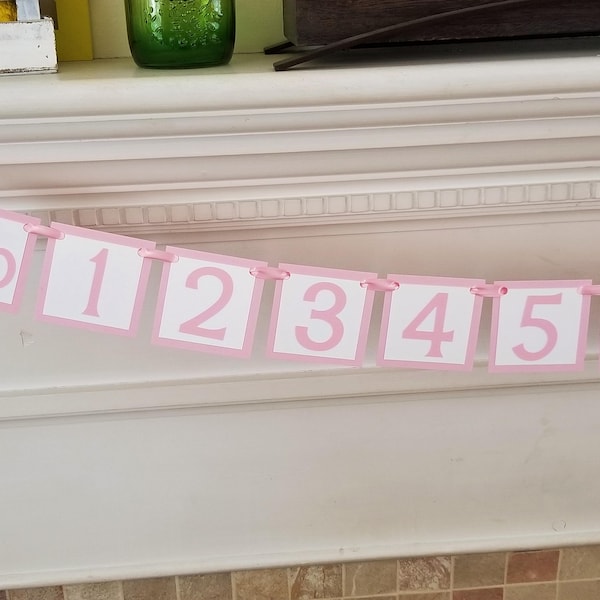 12 month photo banner - pink girl decor decorations - 1st first birthday monthly - picture newborn