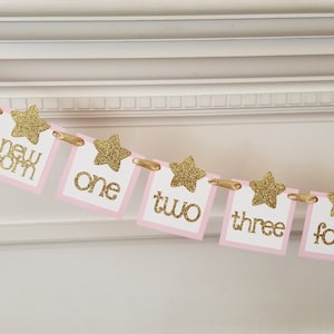 Photo banner 12 month - Twinkle Twinkle Little Star - PINK Gold - 1st first birthday decor picture decorations