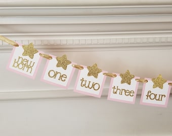 Pink & Gold 1st Birthday Photo Banner – Twinkle Star Decorations