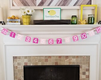 Pink Ombre 1st Birthday Photo Banner – 12 Month Decoration