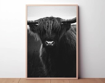 Póster de vaca de las Tierras Altas: Arte mural vintage en blanco y negro