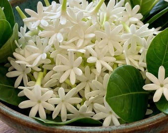 Tiare bloemkralen voor het maken van lei's, mini handgemaakte kleibloemen, benodigdheden voor Hawaïaanse lei's