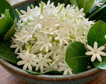 Tiare Flower Beads for Lei Making, Mini Handmade Clay Flowers, Hawaiian Style Lei Supply