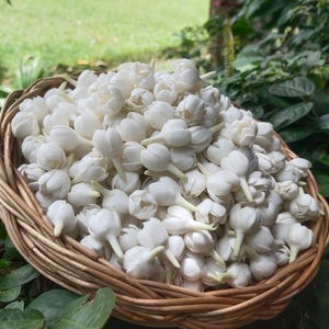 Kwiaty z gliny Pikake - Koraliki z pąków jaśminu wykonane z gliny - Hawajski Lei - Tworzenie biżuterii