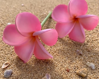 May include: Two vibrant pink plumeria flowers with five rounded petals each, featuring a soft yellow center gradient. The flowers are positioned on a textured sandy surface scattered with small, light-colored seashells and tiny pebbles.