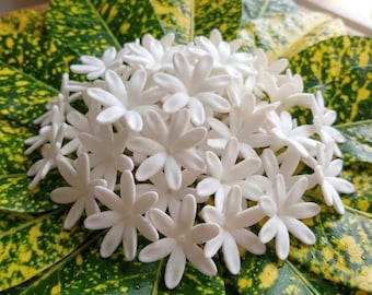Tiare Flower Beads for Lei Making, Mini Handmade Clay Flowers, Hawaiian Style Lei Supply