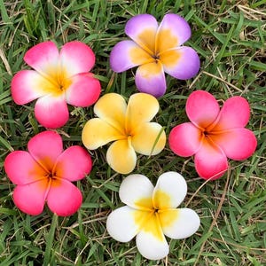 手作り粘土プルメリアの花：DIYジュエリー、レイ作り、ハワイアンレイ