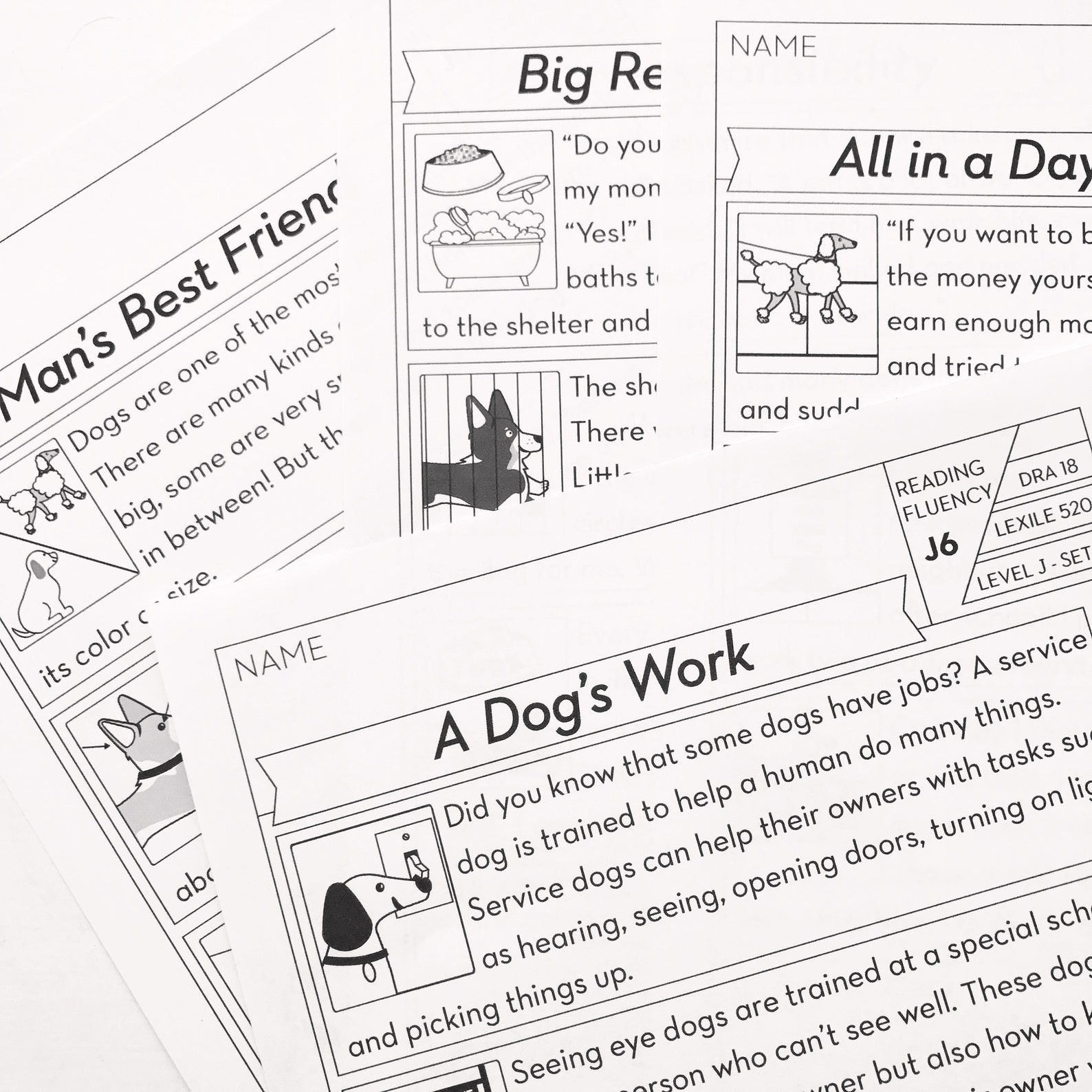 3rd Grade Printable Fluency and Reading Comprehension Passages | Etsy