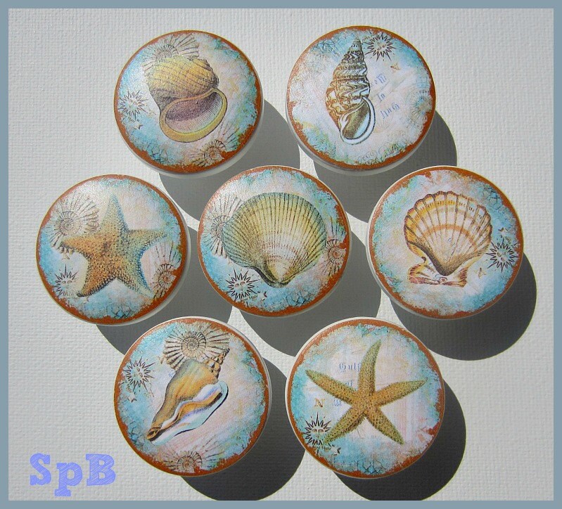 Seashell Knobs Nautical Knobs Beach Knobs Coastal Decor Etsy