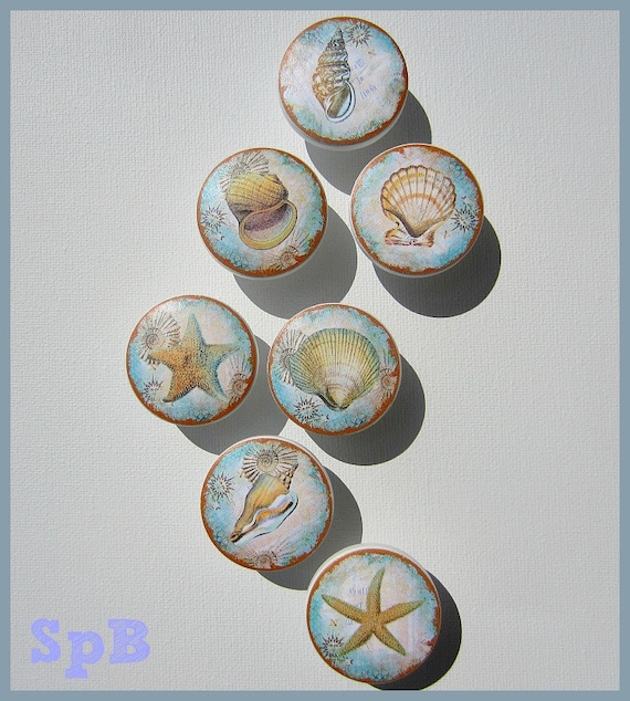 Seashell Knobs Nautical Knobs Beach Knobs Coastal Decor - Etsy