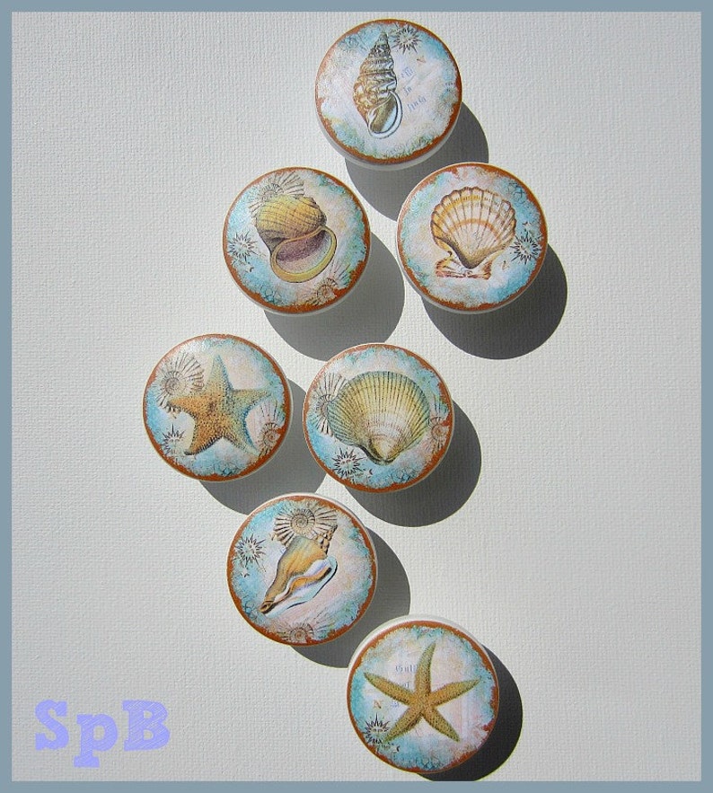 Seashell Knobs Nautical Knobs Beach Knobs Coastal Decor Etsy