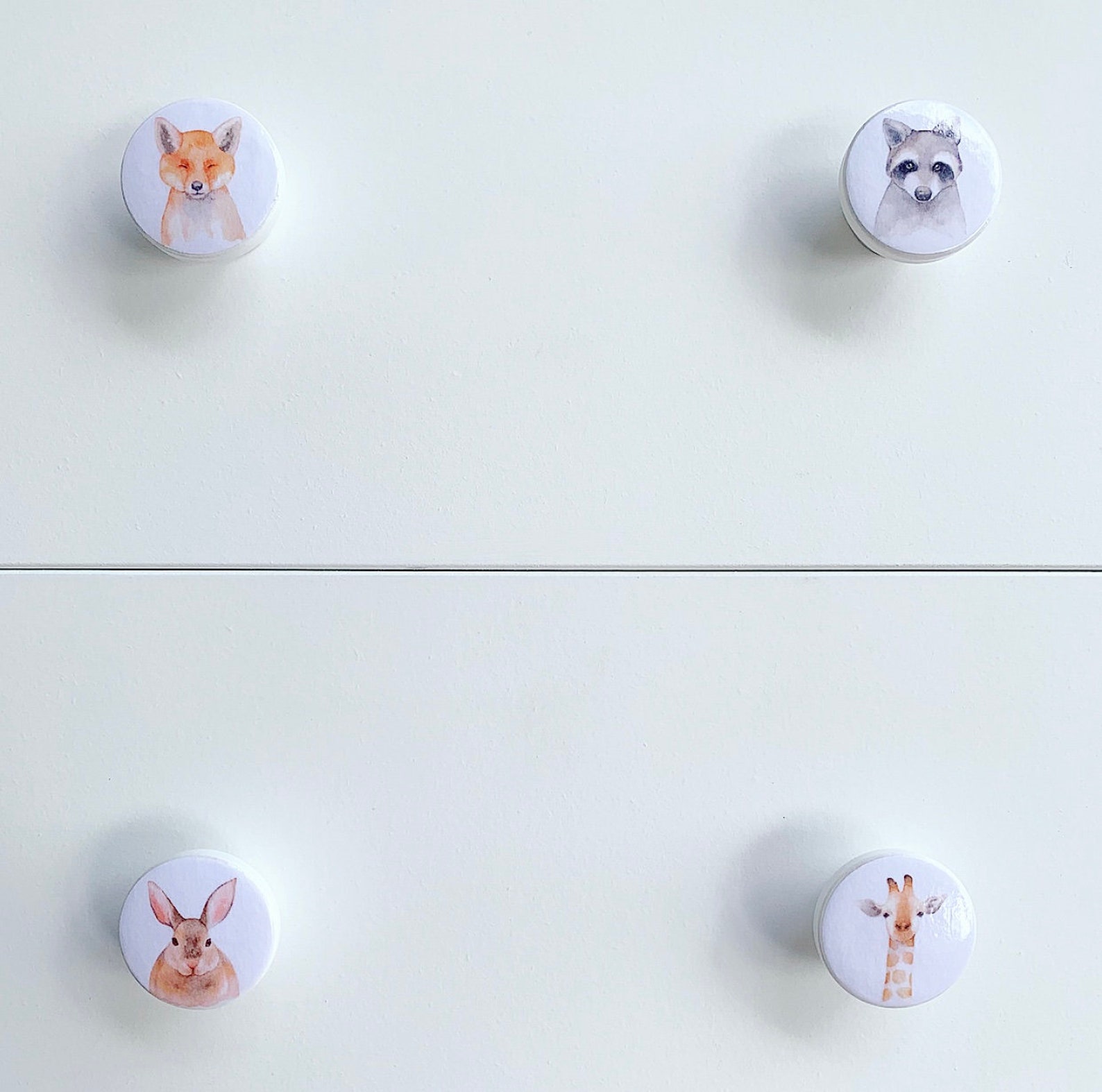Woodland Animal Drawer Knobs Fox Forest Animals Drawer Etsy