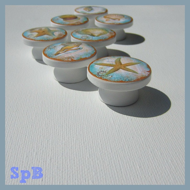 Seashell Knobs Nautical Knobs Beach Knobs Coastal Decor Etsy