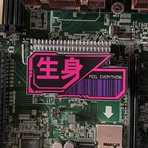 Cyberpunk 生身 “Flesh and Blood” Vinyl Sticker / Kanji / Die Cut Decal