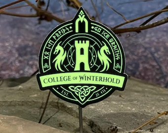 May include: A glowing green metal sign with the text "COLLEGE OF WINTERHOLD" and the words "GH ICE WRAITHS" and "XR KM PRFIP". The sign features a castle and two dragon-like creatures. The sign is on a metal stake.