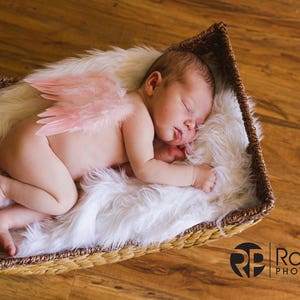 Natural Feather Angel Butterfly Wings, newborn, Baby, Photography prop, Wedding, Choose Colors image 3