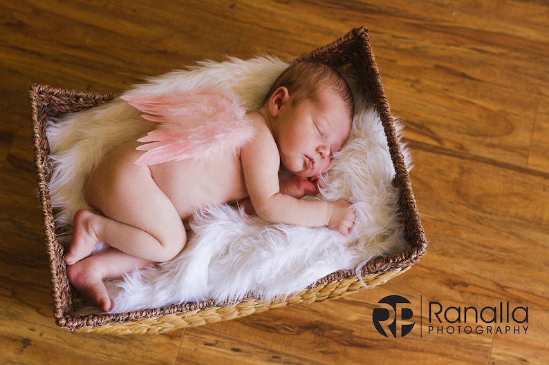Natural Feather Angel Butterfly Wings, newborn, Baby, Photography prop, Wedding, Choose Colors image 3